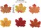 600PCS Artificial Maple Leaves for a Touch of Autumn Elegance, 8cm/3.1inch Faux Fall Leaves for Craft (Colorful)
